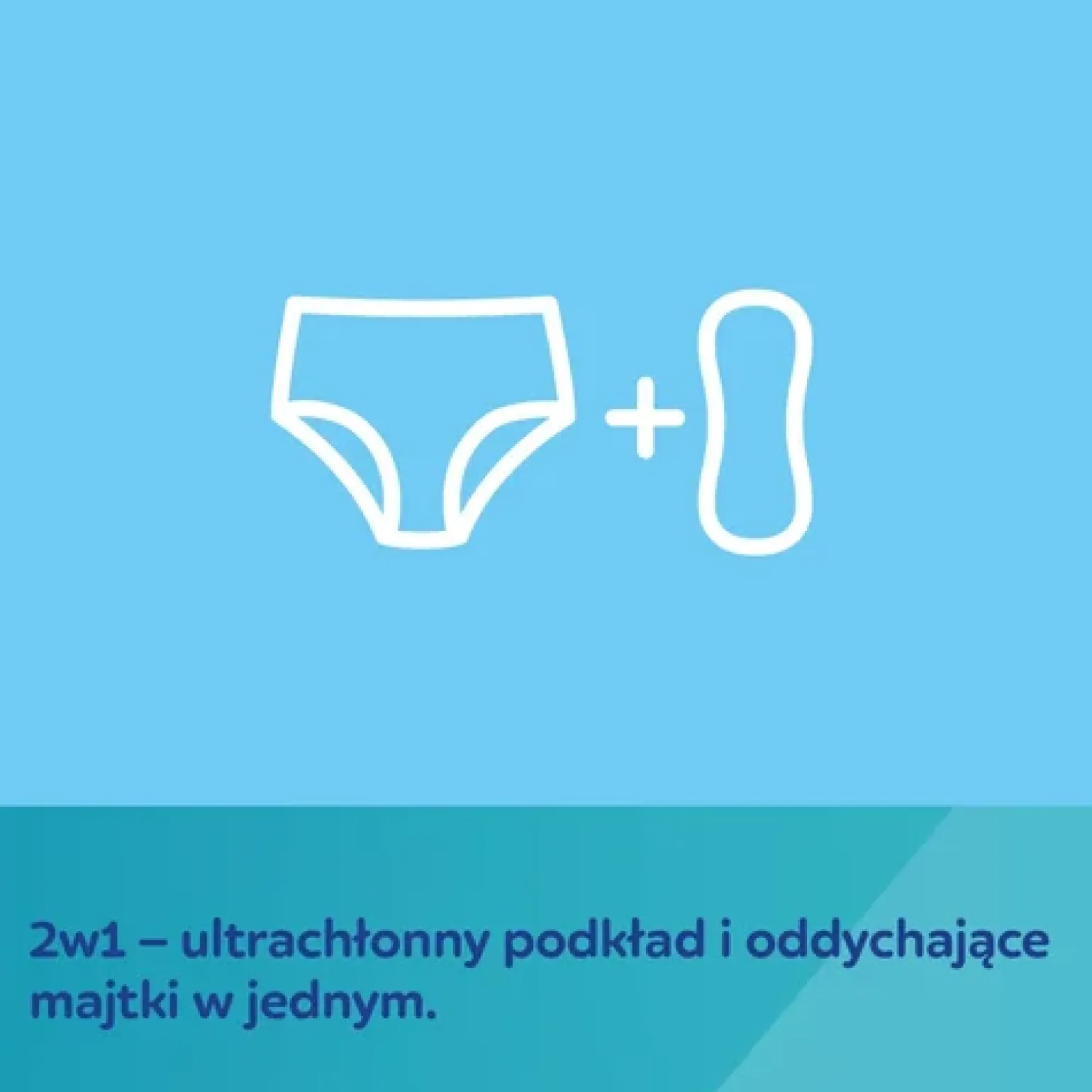 CANPOL babies Oddychające i ultrachłonne jednorazowe majtki 2w1 z podkładem poporodowym L/XL, 5 szt.
