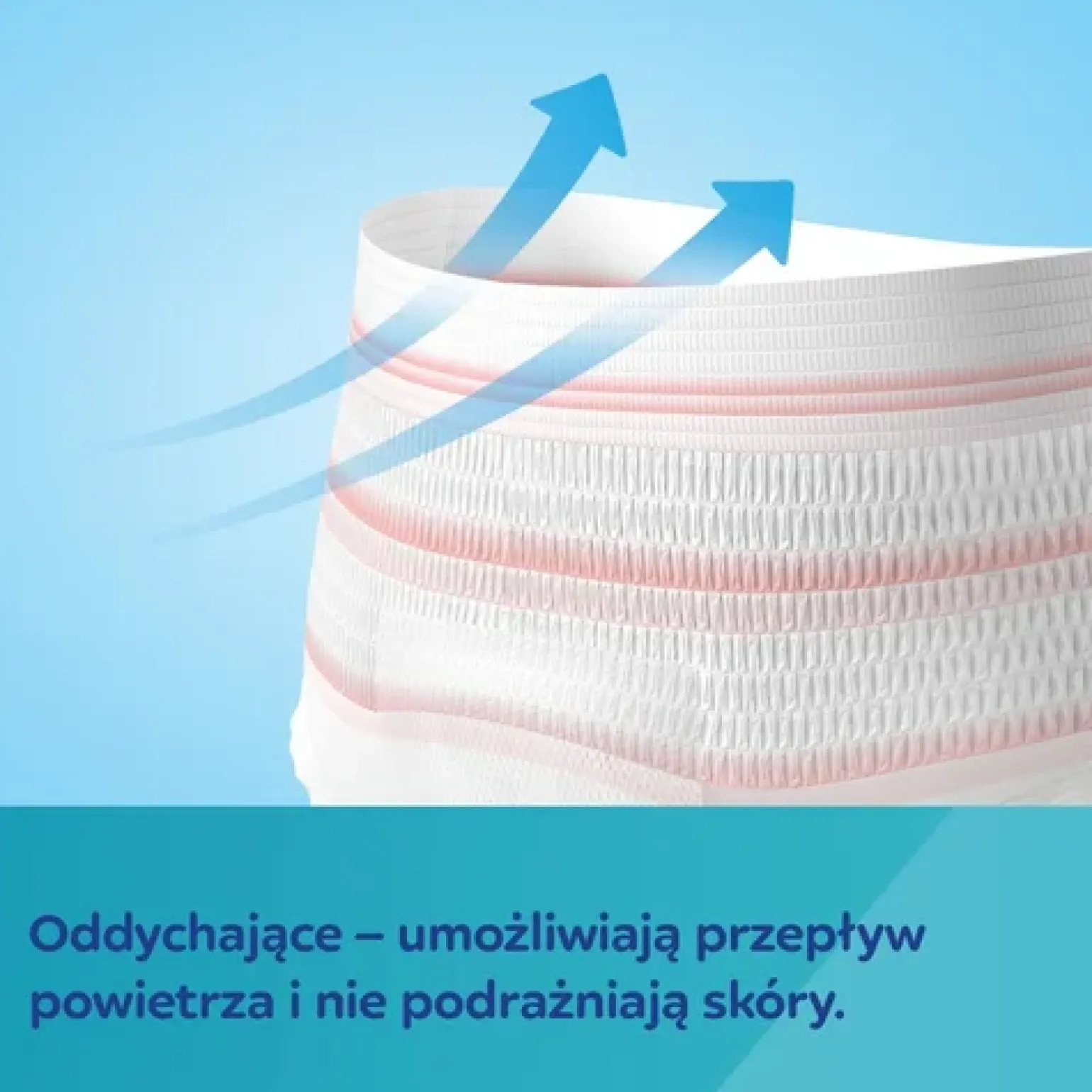 CANPOL babies Oddychające i ultrachłonne jednorazowe majtki 2w1 z podkładem poporodowym L/XL, 5 szt.