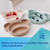 Canpol babies Silikonowy, Trójdzielny Talerzyk z Przyssawką MIŚ Beige