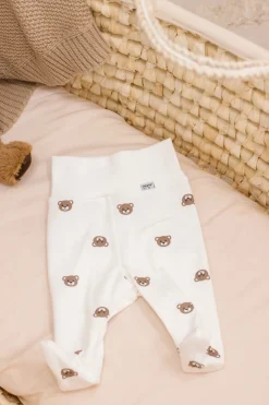 Półśpiochy Bears
