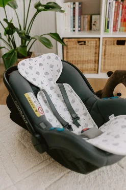 Wkładka antypotowa do fotelika 0-13 kg i 9-18kg - Teddy Bear Blue